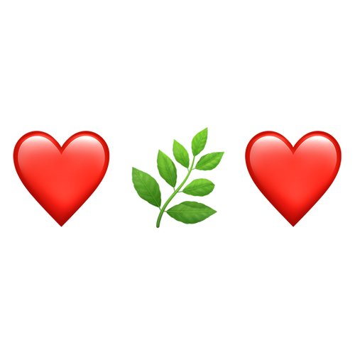 ❤🌿❤ Emoji Domain iOS rendering